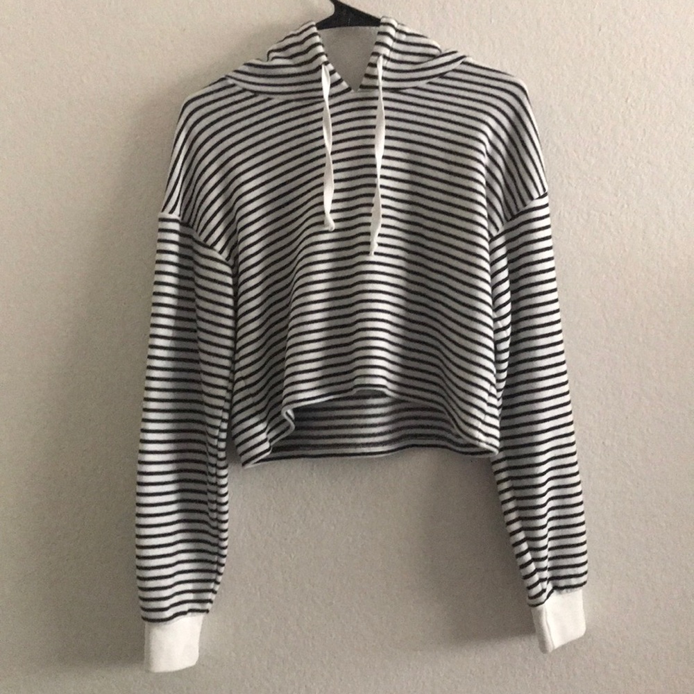 American Eagle Outfitters Crop Top Stripe Hoodie